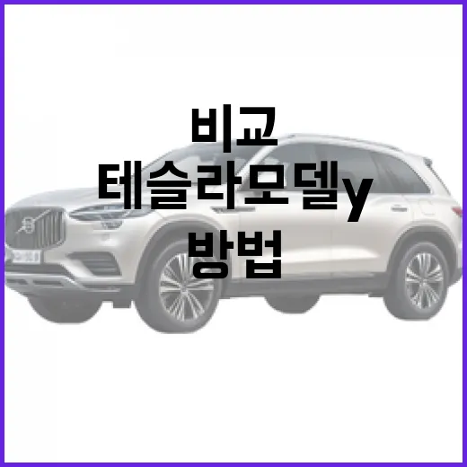 테슬라 모델Y 처음 사려면 이렇게 비교하고 준비하는 방법 - 요약