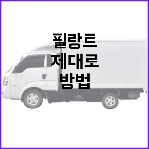 필랑트 제대로 이해하고 활용하는 방법 - 요약