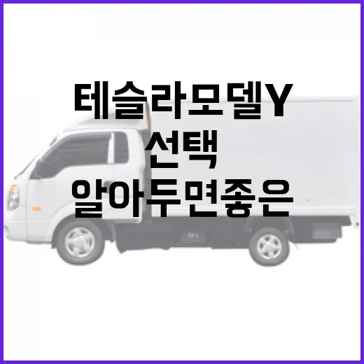 테슬라 모델Y를 선택하는 방법: 알아두면 좋은 팁 - 요약