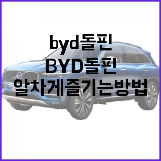 BYD 돌핀을 알차게 즐기는 방법 - 요약