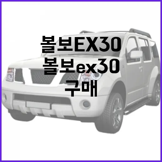 볼보 EX30 고르려면 이렇게 보세요: 주행거리, 옵션, 단점까지 현실 구매 방법 - 요약