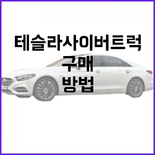 테슬라 사이버트럭 구매 전 확인하는 방법 - 요약