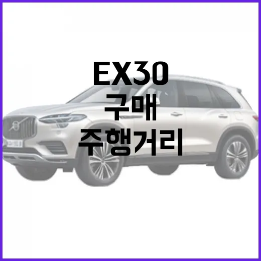 ex30 구매 전 후회 줄이는 방법: 주행거리, 공간, 옵션 고르는 법 - 요약