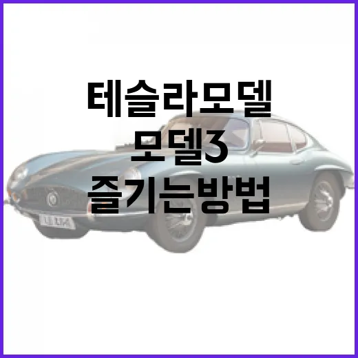 테슬라 모델3를 제대로 즐기는 방법 - 요약