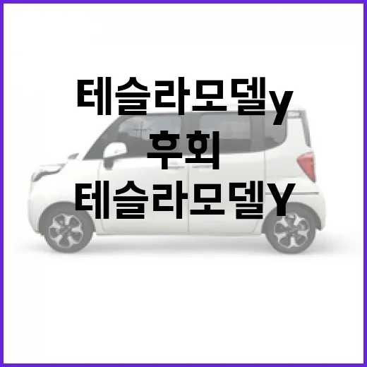 테슬라 모델Y 고르는 방법, 초보자가 후회 줄이려면 이렇게 보세요 - 요약
