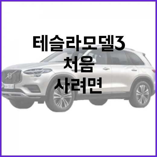 테슬라 모델3 처음 사려면 이렇게 고르세요 - 요약