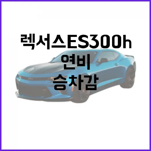 렉서스 ES300h 제대로 고르는 방법, 연비와 승차감부터 중고 체크까지 - 요약
