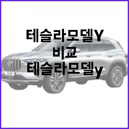 테슬라 모델Y 구매하려면 이렇게 비교하면 실수 줄입니다 - 요약