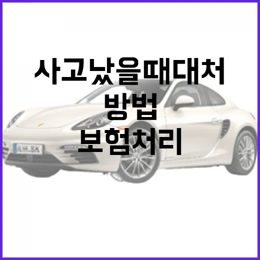 펠리세이드 사고 났을 때 대처하는 방법, 수리비와 보험 처리까지 이렇게 보세요 - 요약