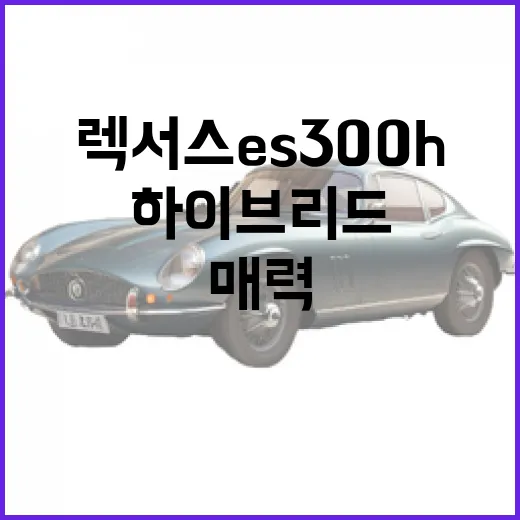 렉서스 ES300h, 하이브리드의 매력을 경험하는 방법 - 요약