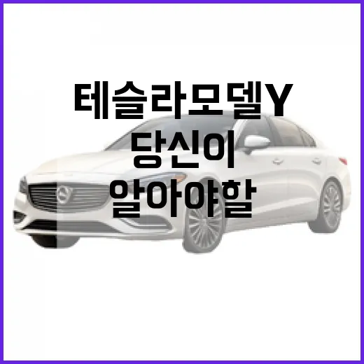 테슬라 모델 Y: 당신이 알아야 할 모든 것 - 요약