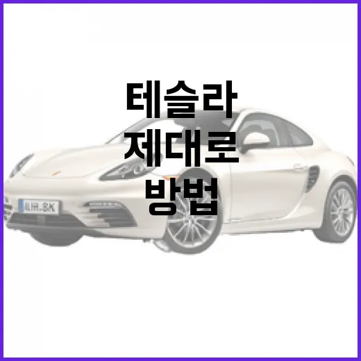 테슬라를 제대로 이해하는 3가지 방법 - 요약