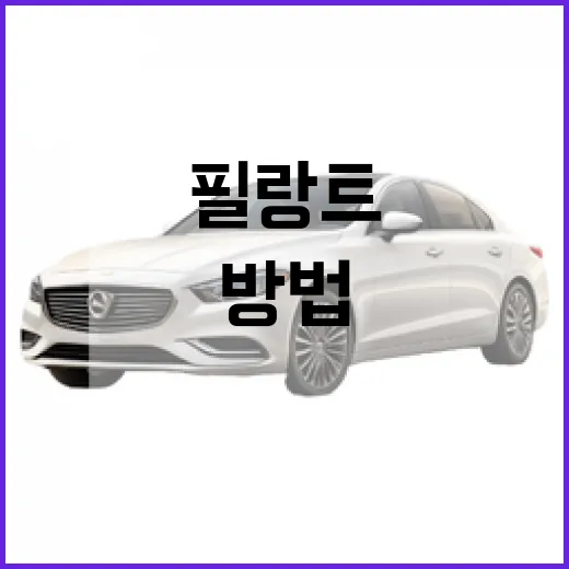 필랑트를 완벽히 활용하는 방법 - 요약