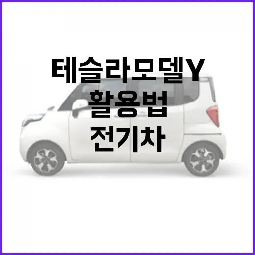 테슬라 모델Y 활용법: 전기차 라이프스타일 완벽적응하기 - 요약