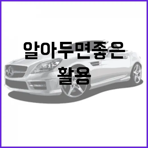 테슬라를 최대한 활용하는 방법: 알아두면 좋은 팁들 - 요약