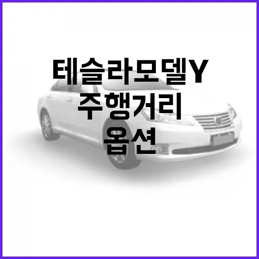 테슬라 모델Y 사려면 이렇게 따져보세요: 주행거리, 충전, 옵션 선택법 - 요약