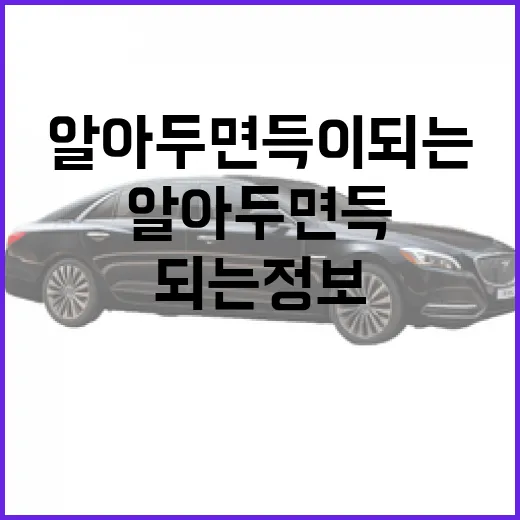 필랑트: 알아두면 득이 되는 정보 - 요약