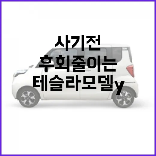 테슬라 모델Y 사기 전에 후회 줄이는 방법 - 요약