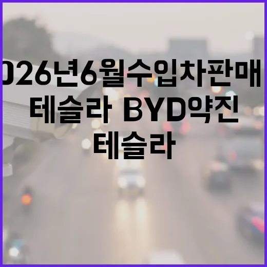 2026년 6월 수입차 판매량 읽는 방법: 테슬라·BYD 약진을 제대로 판단하려면 이렇게 - 요약