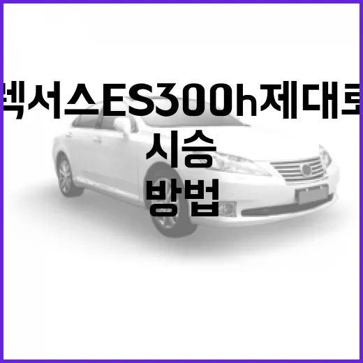 렉서스 ES300h 제대로 고르는 방법, 시승 전에 꼭 확인할 기준 - 요약