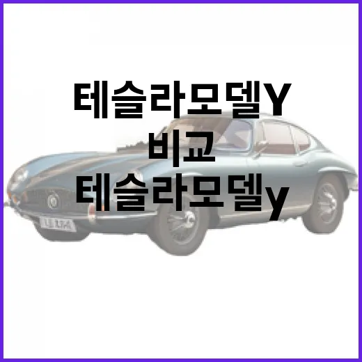 테슬라 모델Y 고르려면 이렇게 비교하면 됩니다 - 요약