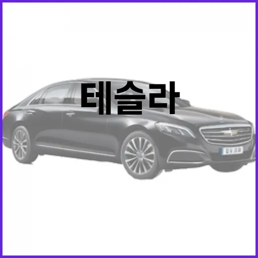 테슬라 YL 기다리는 사람이 구매 전 따져봐야 할 6가지 방법 - 요약