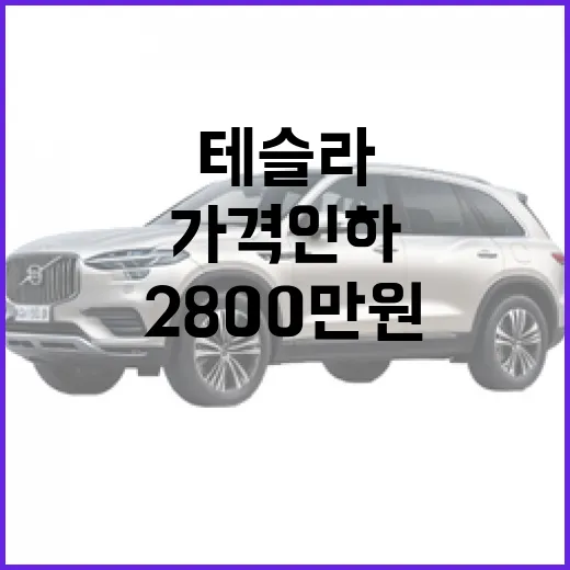 테슬라 2800만 원 가격 인하를 제대로 판단하는 방법 - 요약