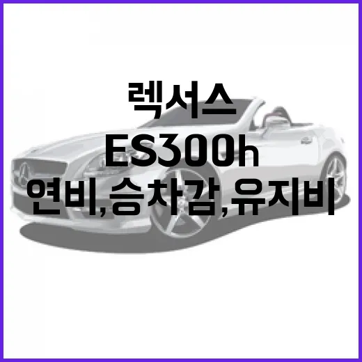 렉서스 ES300h 구매하려면 이렇게 보세요: 연비, 승차감, 유지비까지 현실 체크 - 요약