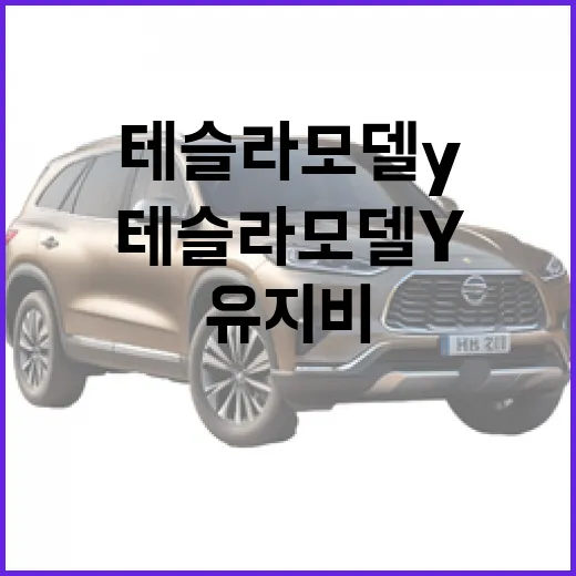 테슬라 모델Y 사려면 이렇게 고르면 됩니다: 트림, 충전, 유지비 체크 방법 - 요약
