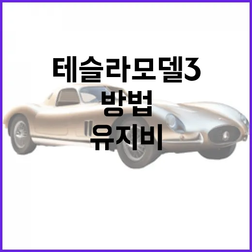 테슬라 모델3 사려면 이렇게 고르세요: 트림, 충전, 유지비까지 현실적으로 계산하는 방법 - 요약