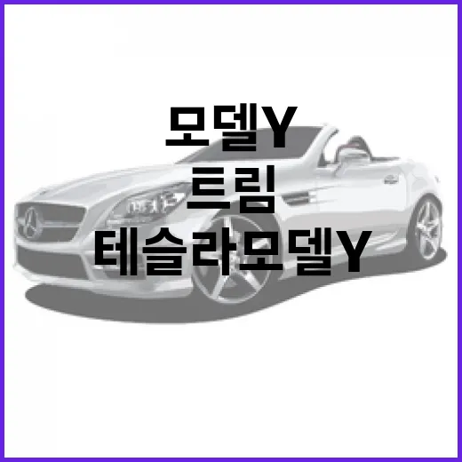 테슬라 모델Y 사기 전에 확인하는 방법: 트림, 주행거리, 유지비까지 현실적으로 고르는 법 - 요약
