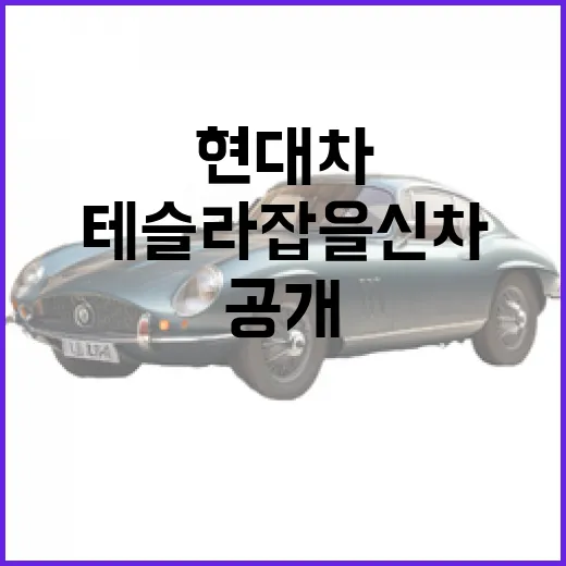 현대차가 테슬라 잡을 신차를 공개했을 때 제대로 보는 방법 - 요약