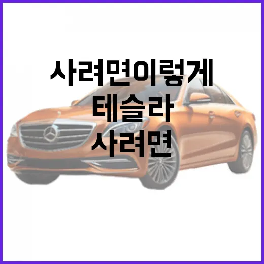 테슬라 처음 사려면 이렇게 판단하는 방법 - 요약