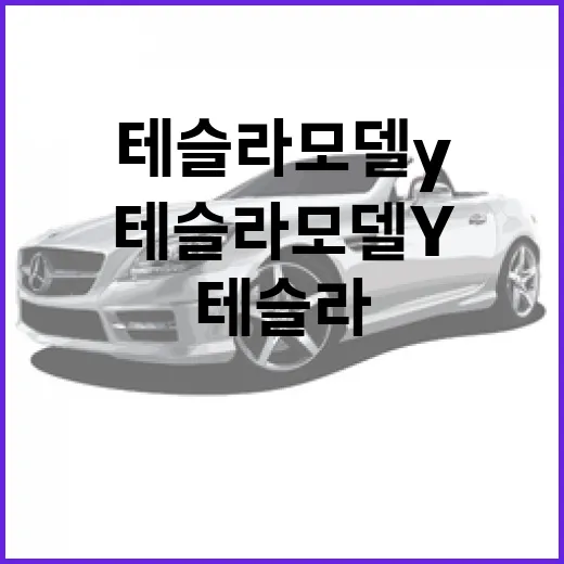 테슬라 모델Y 처음 사려면 이렇게 고르면 됩니다 - 요약