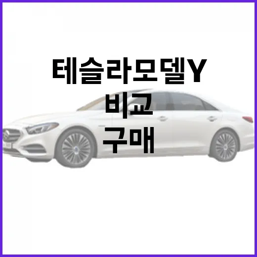 테슬라 모델Y 구매하려면 이렇게 비교하세요 - 요약