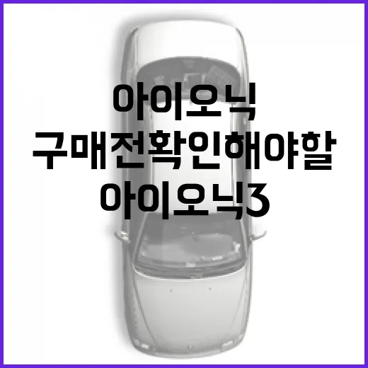 아이오닉3 기다리는 방법, 국내 구매 전 확인해야 할 포인트 - 요약