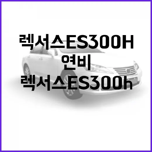 렉서스 ES300h 제대로 고르는 방법, 연비보다 먼저 봐야 할 포인트 - 요약