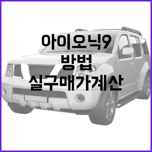 아이오닉 9 가격 인상처럼 느껴질 때 실구매가 계산하는 방법 - 요약