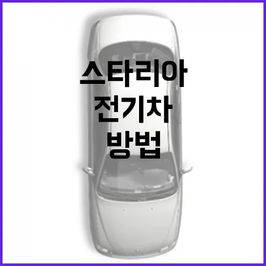 스타리아 전기차 기다리려면 이렇게 판단하는 방법 - 요약