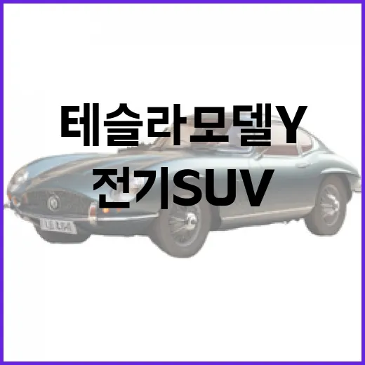 테슬라 모델Y 제대로 고르는 방법, 처음 사는 전기 SUV라면 이렇게 판단하세요 - 요약