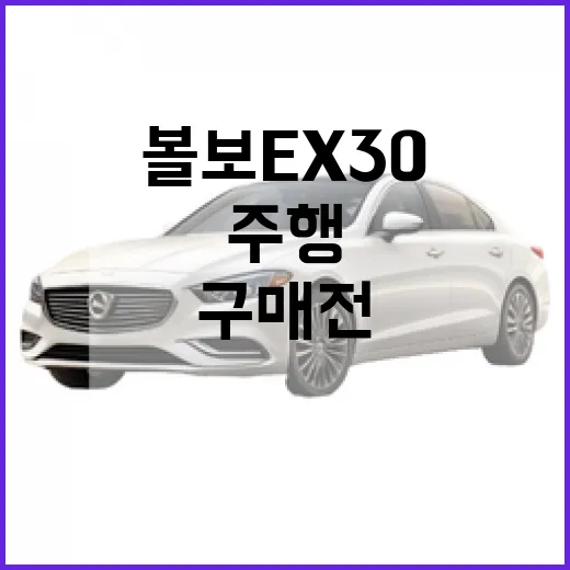 볼보 EX30 구매 전 체크하는 방법, 가격부터 주행거리까지 이렇게 보면 됩니다 - 요약