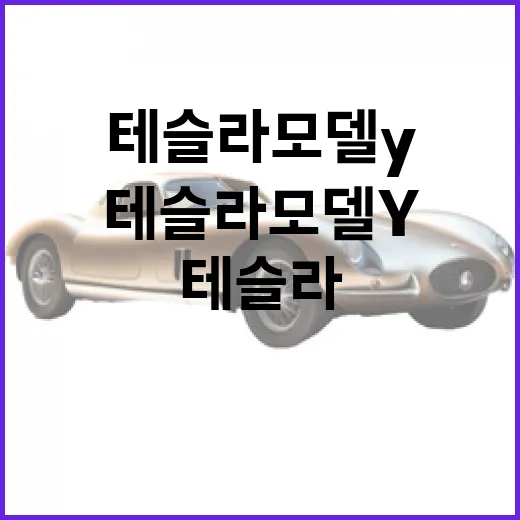 테슬라 모델Y 고르려면 이렇게 따져보는 방법 - 요약