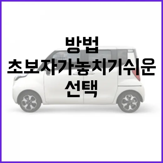아우디 A6 고르는 방법, 초보자가 놓치기 쉬운 유지비와 트림 선택 기준 - 요약