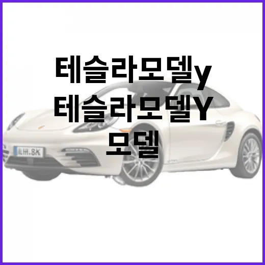 테슬라 모델Y 사려면 이렇게 고르면 실패 확률이 낮습니다 - 요약
