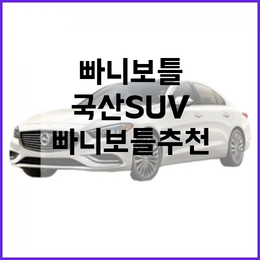 빠니보틀 추천 국산 SUV 찾는 사람이 차 고르는 방법 - 요약