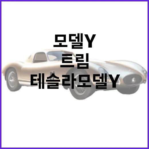 테슬라 모델Y 고르려면 이렇게, 트림부터 충전까지 현실적으로 보는 방법 - 요약