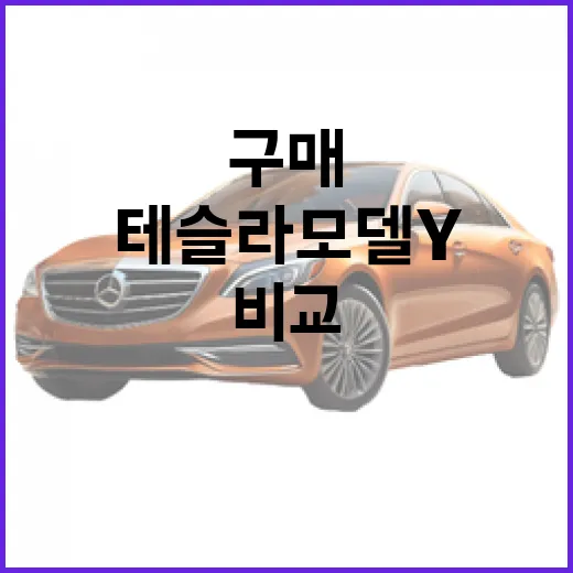 테슬라 모델Y 사려면 이렇게 비교하세요: 초보자를 위한 구매 체크법 - 요약