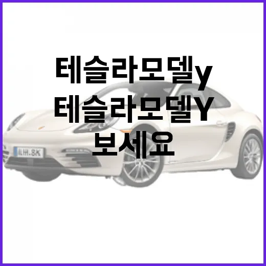 테슬라 모델Y 고르려면 이렇게 보세요: 트림, 충전, 실사용 체크 방법 - 요약
