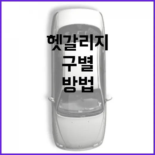 초보자를 위한 BMW 알피나 구별하는 방법, M과 헷갈리지 않으려면 이렇게 보세요 - 요약