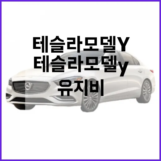 테슬라 모델Y 고르는 방법: 초보자가 후회 줄이는 트림·충전·유지비 기준 - 요약